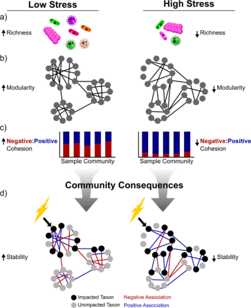 picture from isme 2021